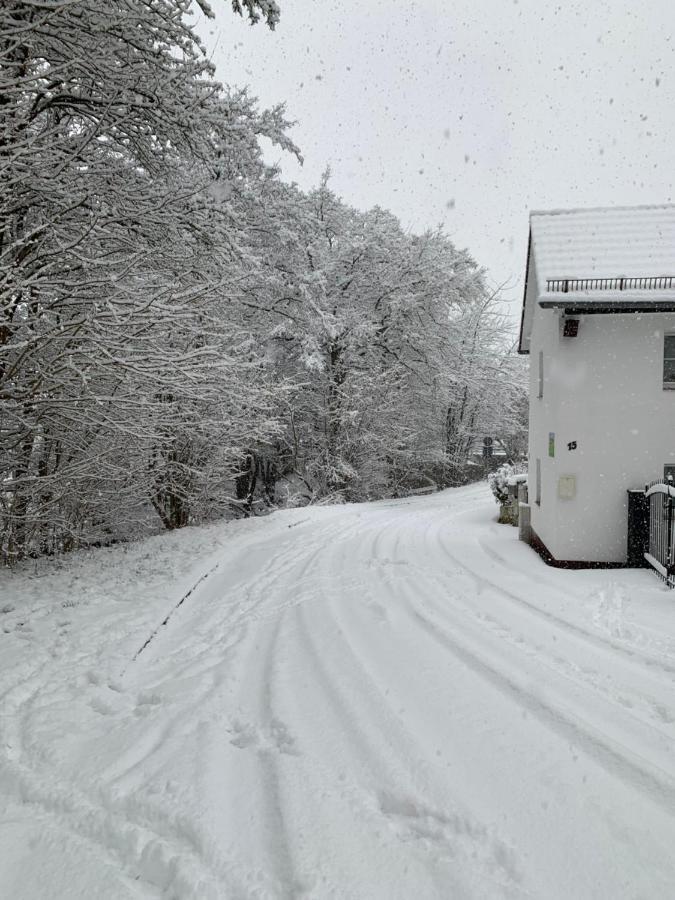 Vila Ferienhaus Gemuend Schleiden Exteriér fotografie